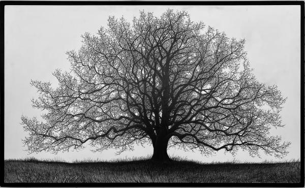 Christopher Brown Drawings