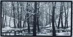 Snowy walks by the river