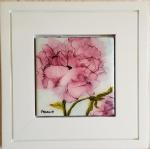 Pink Peony 293