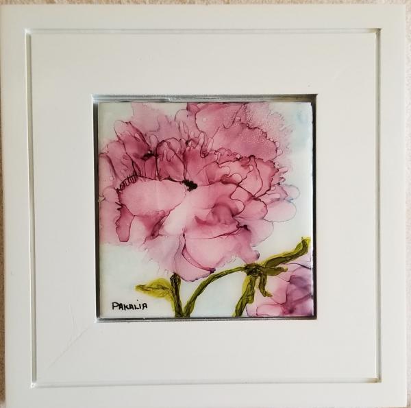 Pink Peony 293 picture