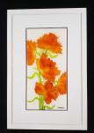 Orange Poppies 198