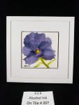 1 Pansy (indigo w/white) 207