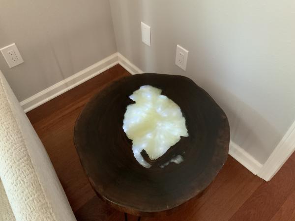 Hollow walnut tree side table with white pearl epoxy picture