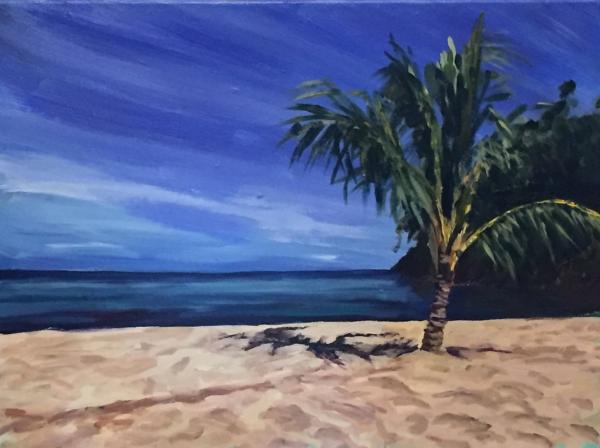 Palm Tree on San Souci Beach picture