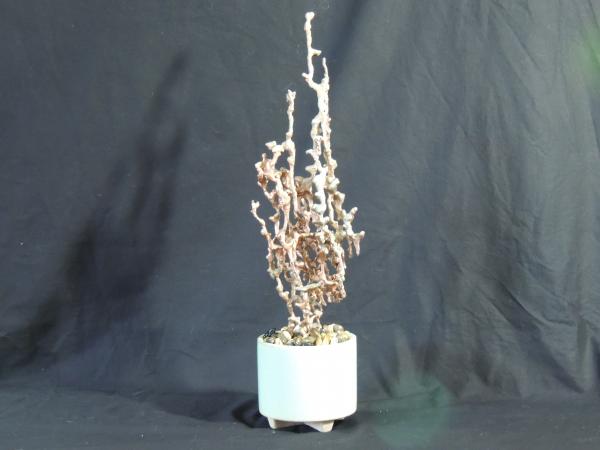 Tall Copper Fire Ant in Green Vase F124 picture