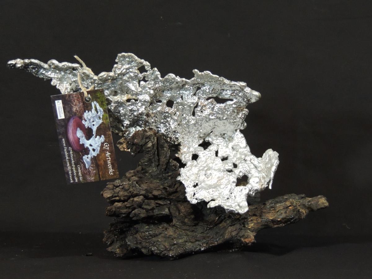 Small Silver Fire Ant F109 picture