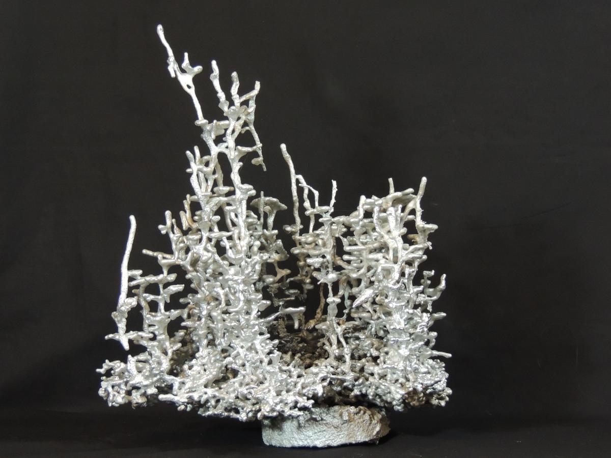 Medium Silver Fire Ant F113 picture