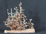 Medium Copper Fire Ant F110
