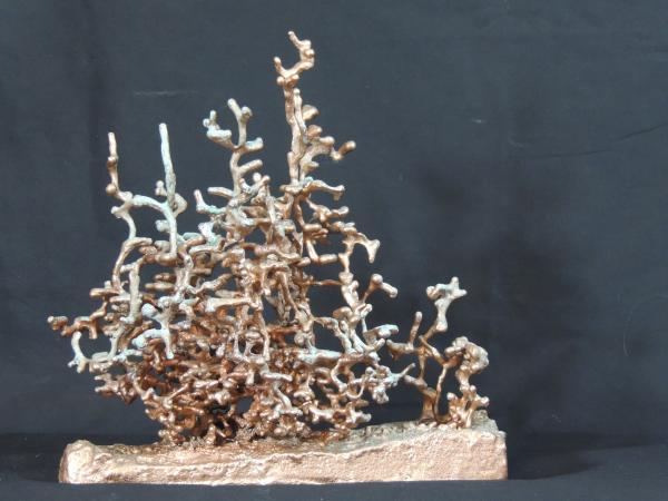 Medium Copper Fire Ant F110 picture