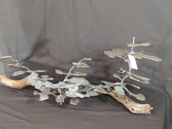 Extra Large Bronze Harvester Ant F107 picture