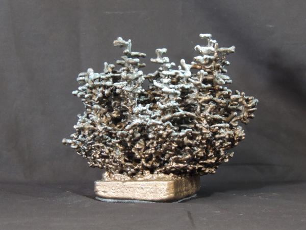 Small bronze fire ant F107