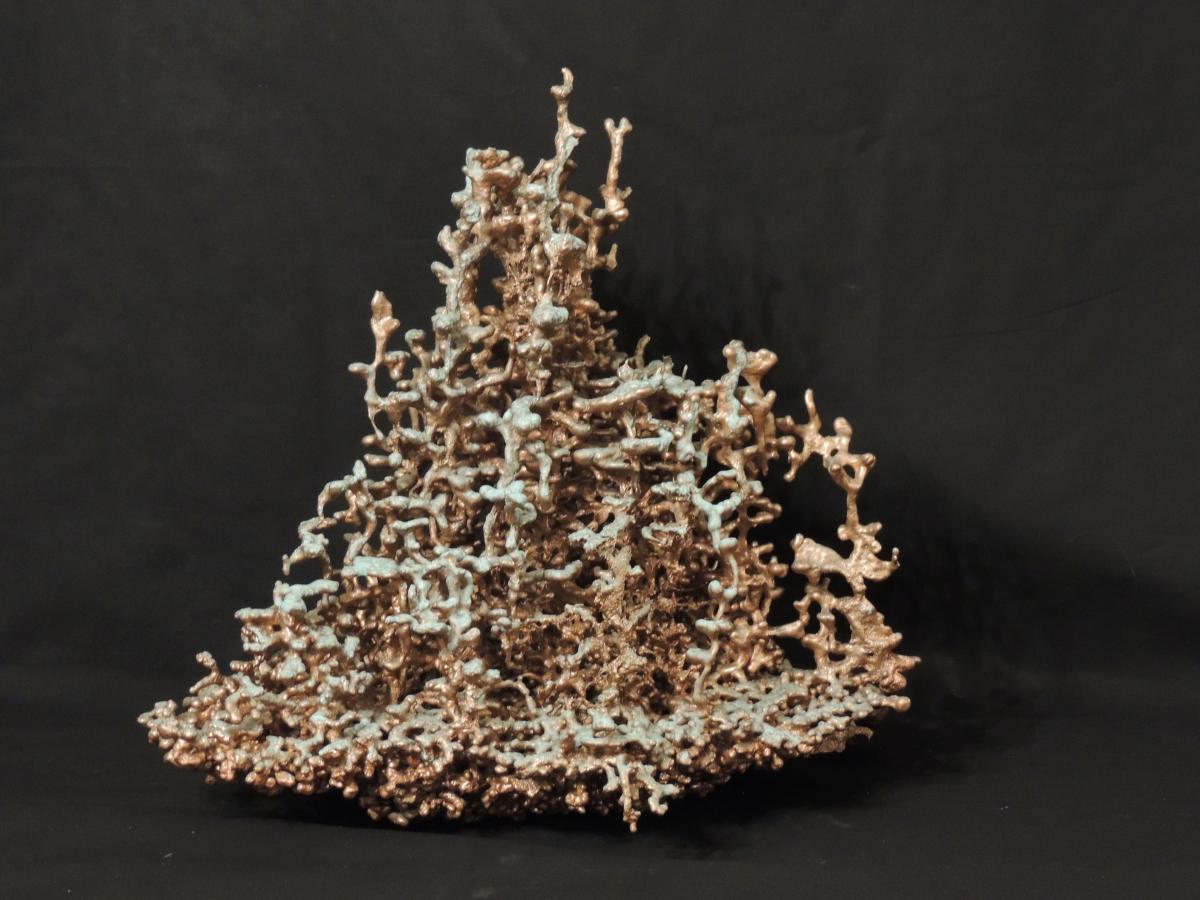 Large Copper Fire Ant F119 picture