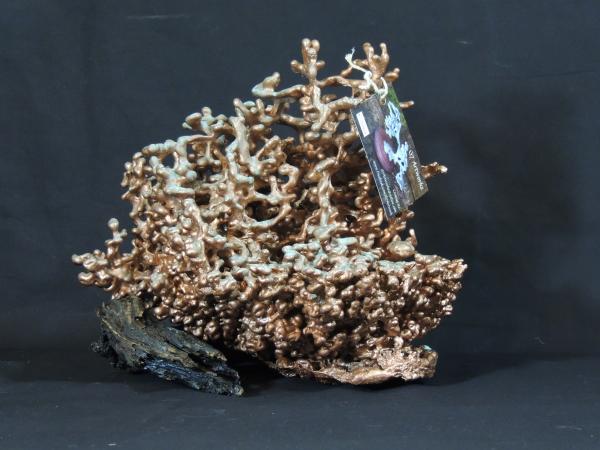 Copper Fire Ant F108