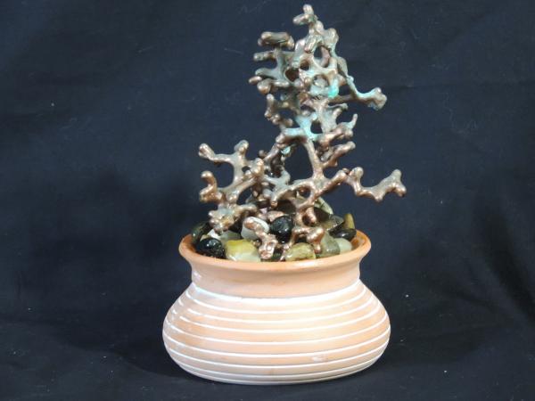 Small Copper Fire Ant in terra cotta vase F127 picture