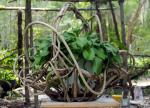 Large Wisteria Basket