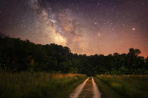 Milky Way and Fireflies - Metal Photograph, Lightning Bugs, Archival, Signed by Artist