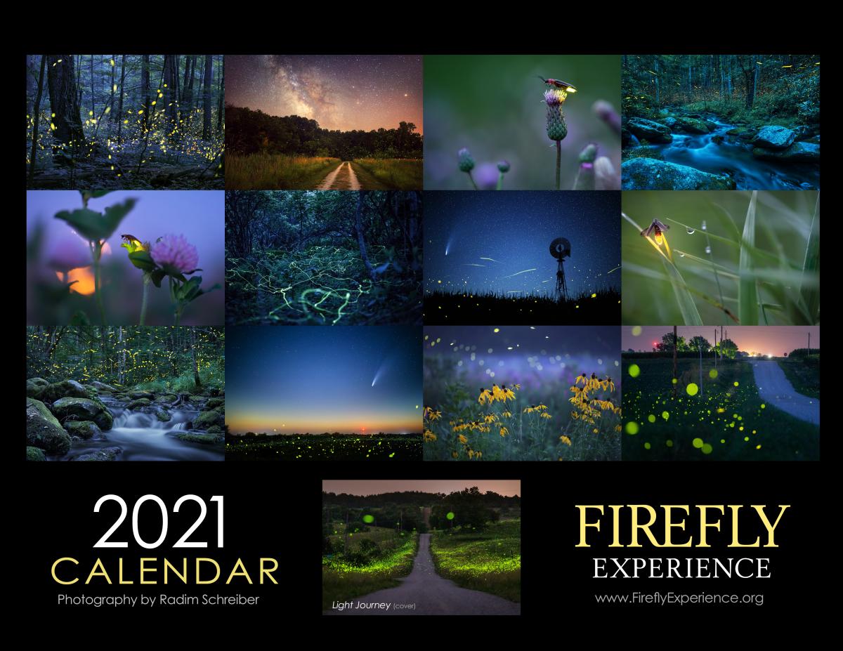 Firefly Experience Callendar picture