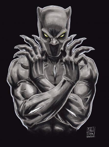 Black Panther picture