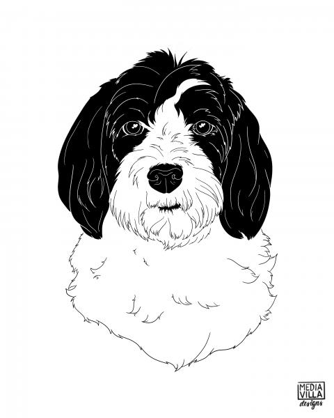 Monochrome Pet Portrait picture