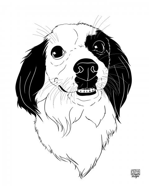 Monochrome Pet Portrait picture