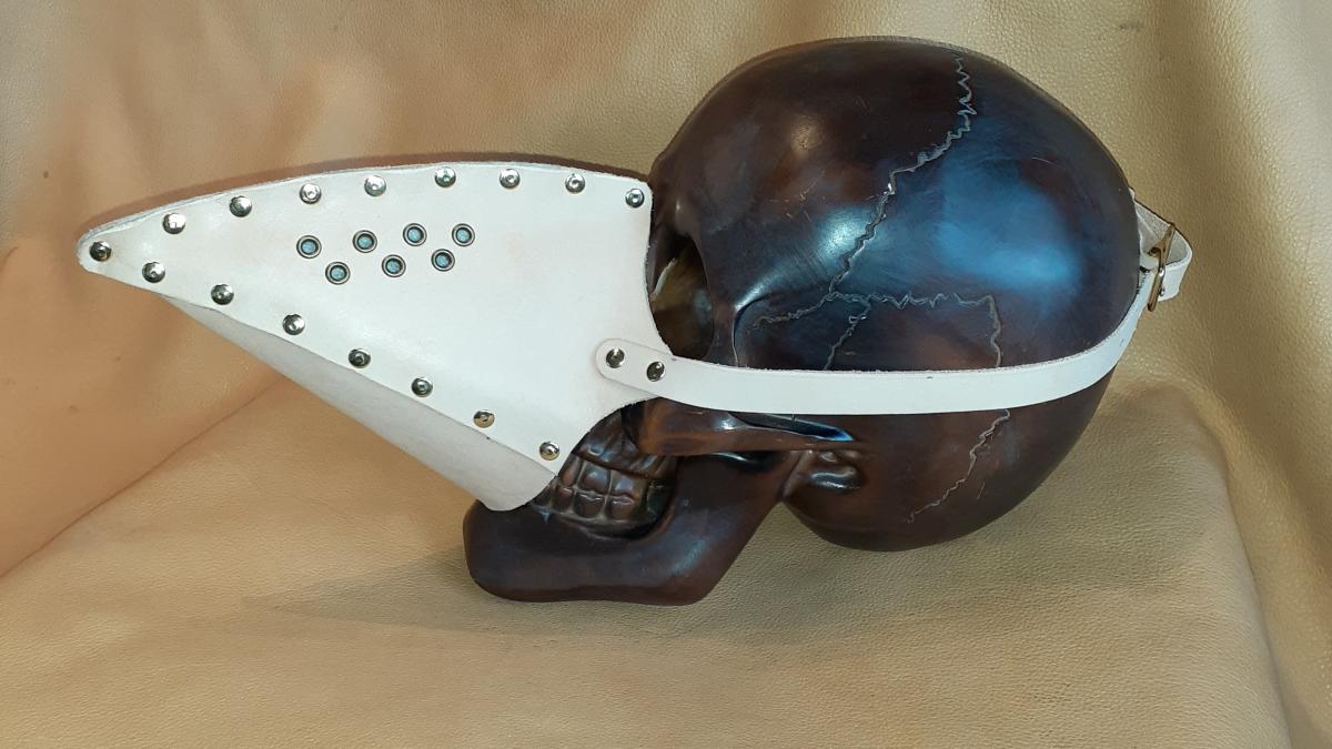 Bird Beak Safety Mask picture