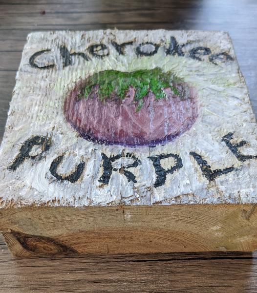 Cherokee Purple picture