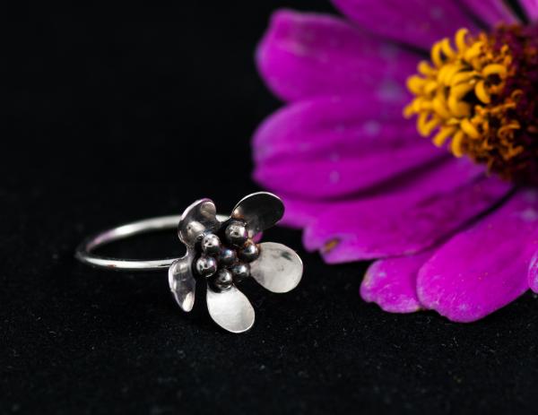 Longing for spring