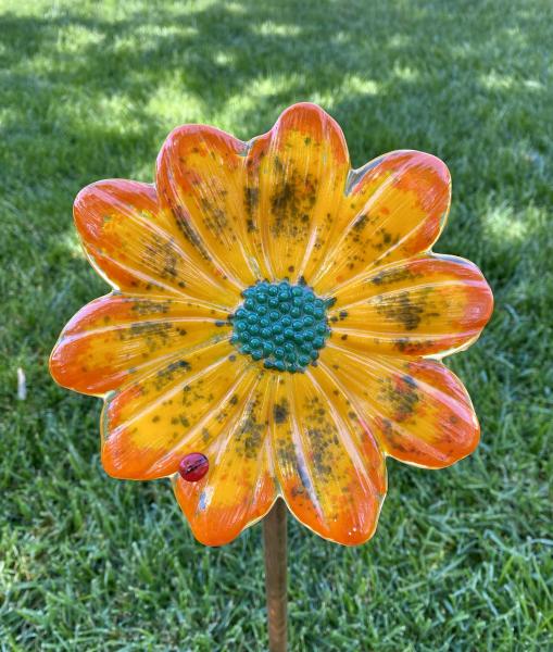 Fused Glass Daisy Flower picture