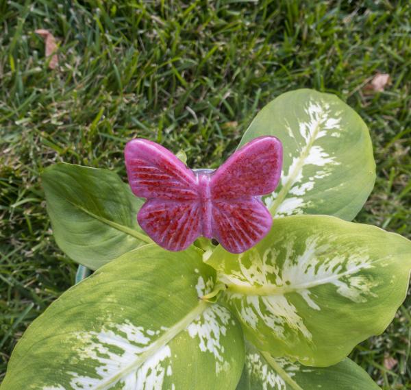 Fused Glass Butterfly Stake - Small picture