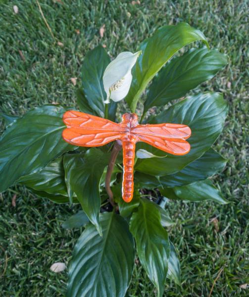 Fused Glass Dragonfly Stake - Medium picture