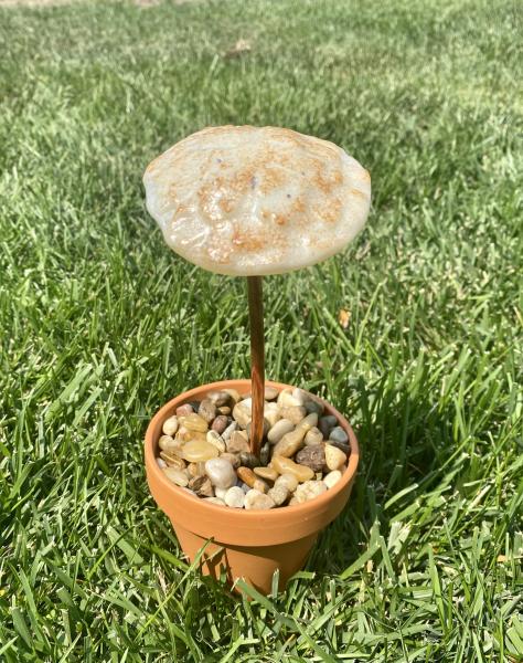Fused Glass Mushroom Garden Stake -2 picture