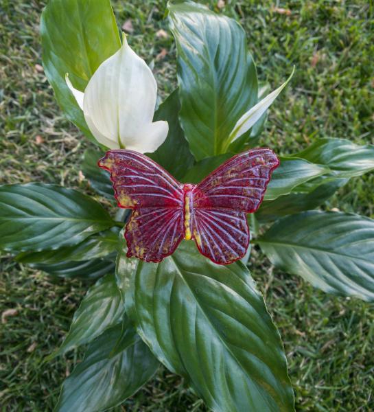 Fused Glass Butterfly Stake - Medium picture