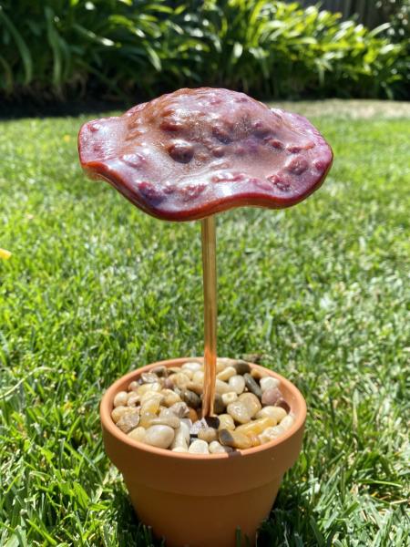 Fused Glass Mushroom Garden Stake -1 picture