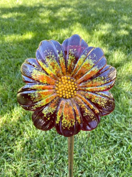 Fused Glass Daisy Flower picture