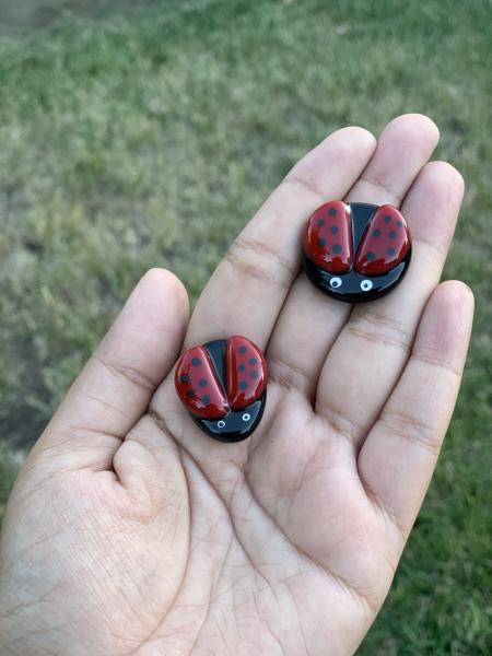 Fused Glass Ladybug magnet picture