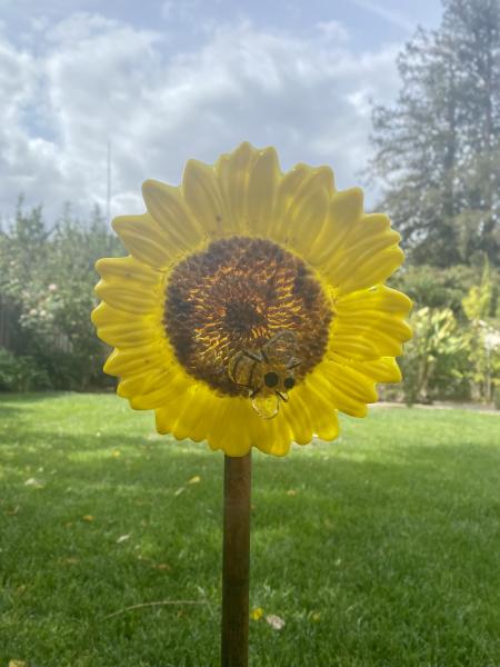 Fused Glass Sunflower picture