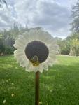 Fused Glass Sunflower