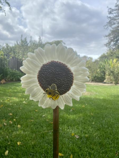 Fused Glass Sunflower