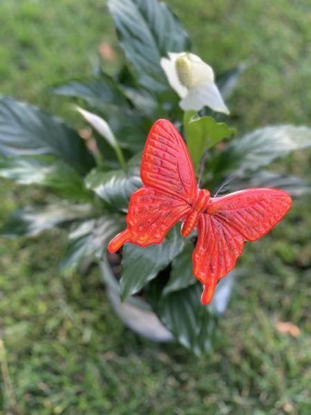 Fused Glass Butterfly Stake - Large picture