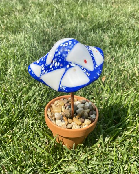 Fused Glass Eden Mushroom picture