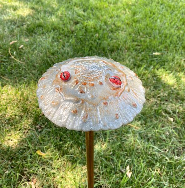 Fused Glass Mushroom Decor picture