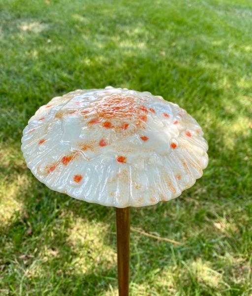 Fused Glass Mushroom Decor picture