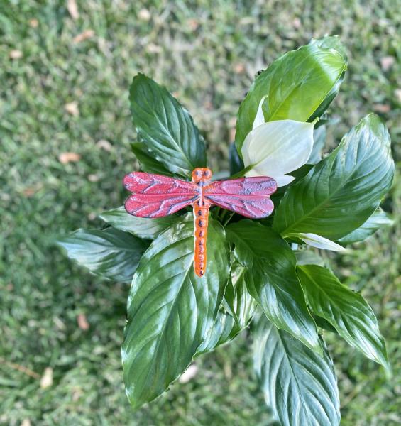 Fused Glass Dragonfly Stake - Medium picture