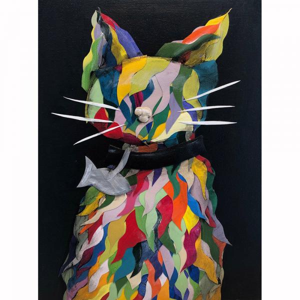 Multi Colored Cat on Black picture