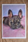 COCO - French Bulldog, Pastel painting "Print" on canvas