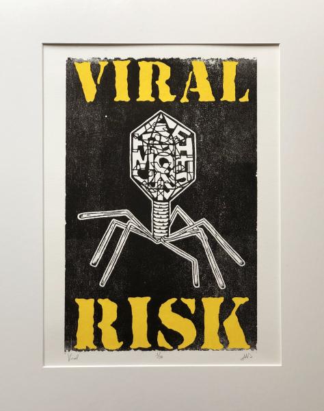 Viral Risk picture