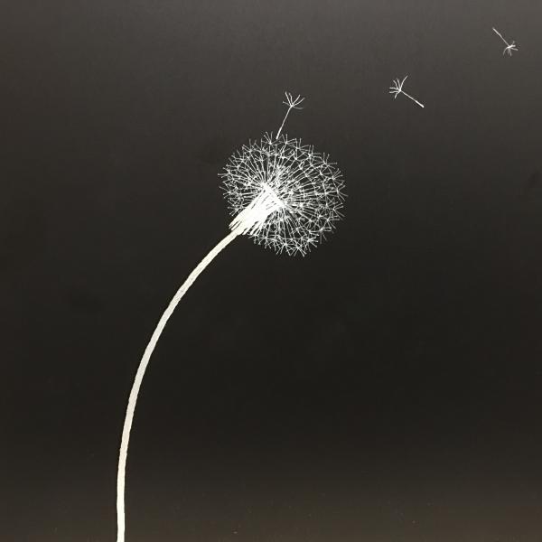 Dandelion picture