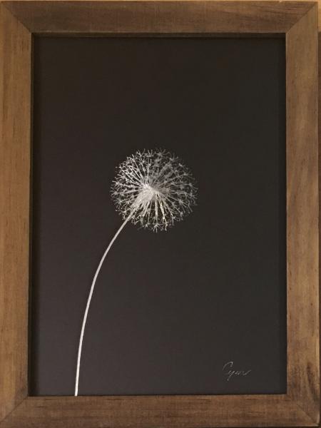 Small Dandelion picture