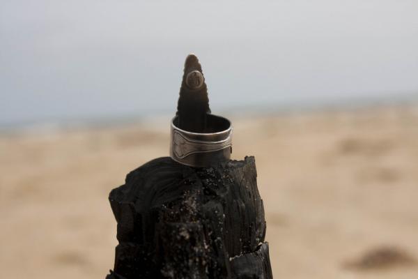 Fossil Palm Root Ring with Engraved Bone picture