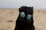 Lone Mountain Turquoise Stud Earrings